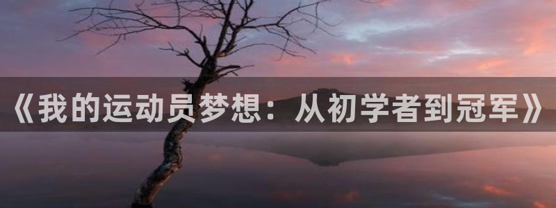凯发官网下载开户：《我的运动员梦想：从初学者到冠军》