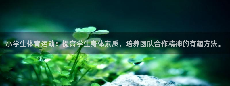 凯发官方正版app娱乐网站：小学生体育运动：提高学生