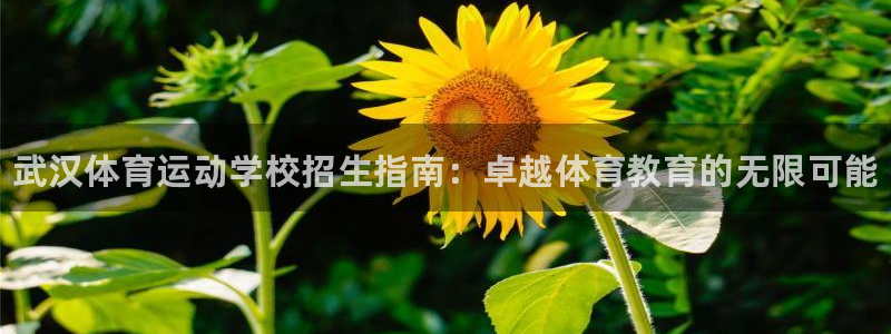 凯发官方正版app集团官网网址：武汉体育运动学校招生