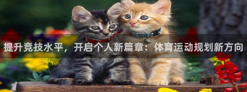 凯发官方正版app娱乐网站：提升竞技水平，开启个人新