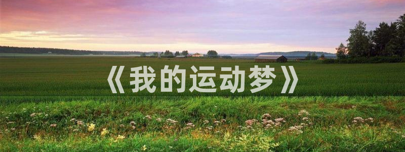 凯发官方正版app新能源：《我的运动梦》