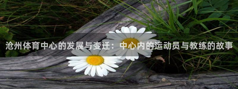 凯发官网下载开户：沧州体育中心的发展与变迁：中心内的运动员与