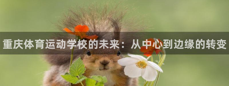凯发官网下载招商电话号码