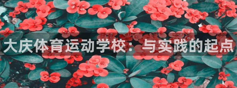 凯发官网下载官方客服电话