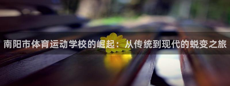 凯发官方正版app娱乐下载：南阳市体育运动学校的崛起：从传统