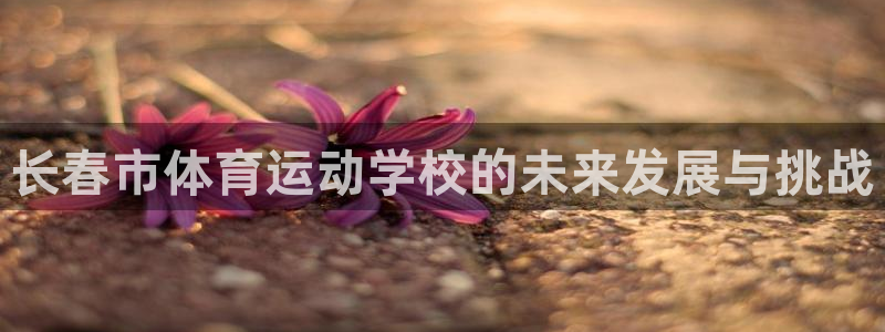 海南凯发官网下载发展怎么样：长春市体育运动学校的未来发展与挑