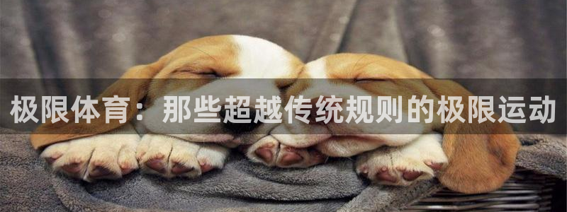 凯发官网下载招商电话号码是多少啊