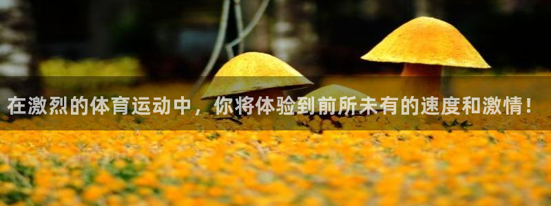 凯发官网下载联系电话：在激烈的体育运动中，你将体验到