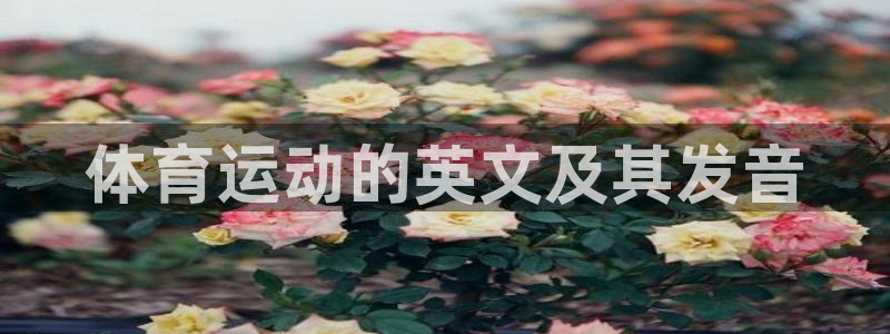 凯发官网下载平台注册流程视频：体育运动的英文及其发音