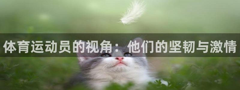 凯发官网下载招商电话号码是多少：体育运动员的视角：他