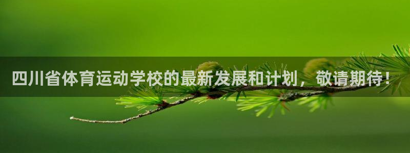 凯发官网下载平台是正规平台吗知乎：四川省体育运动学校