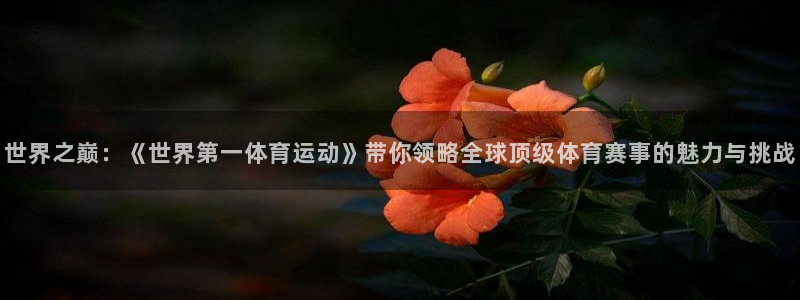 凯发官方正版app娱乐：世界之巅：《世界第一体育运动