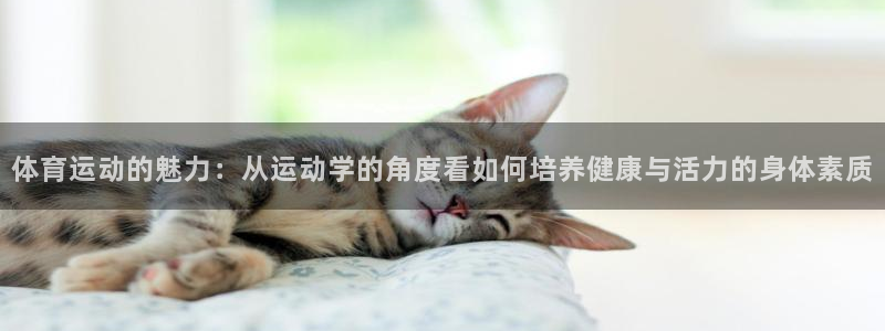 凯发官方正版app集团官网首页：体育运动的魅力：从运动学的角