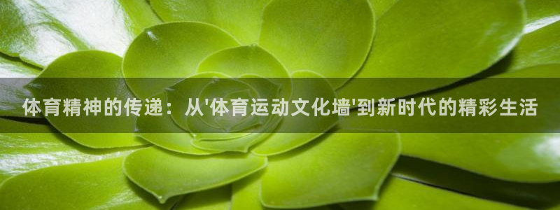 凯发官网下载招商电话号码是多少：体育精神的传递：从\'体育运