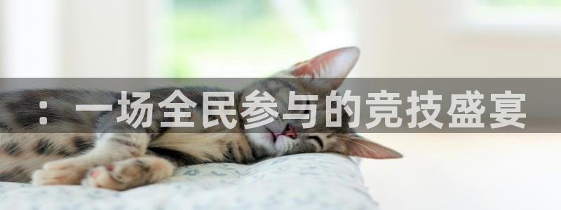 凯发官方正版app集团简介：：一场全民参与的竞技盛宴