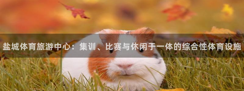 凯发官网下载招商电话地址：盐城体育旅游中心：集训、比赛与休闲