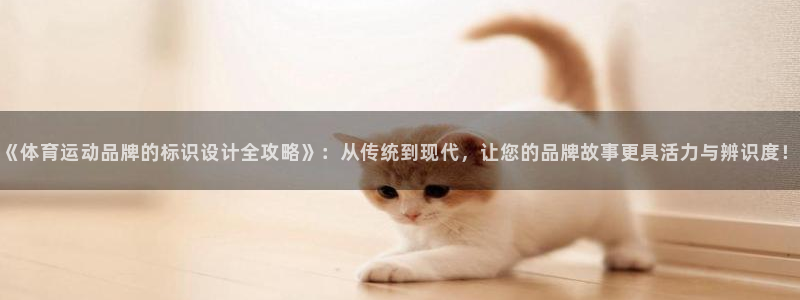 凯发官网下载软件：《体育运动品牌的标识设计全攻略》：从传统到