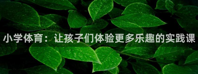 凯发官方正版app集团官网首页：小学体育：让孩子们体验更多乐