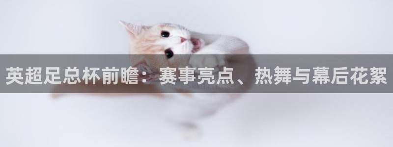 球友会直播：英超足总杯前瞻：赛事亮点、热舞与幕后花絮