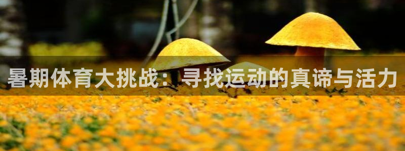 凯发集团平台苹果版下载