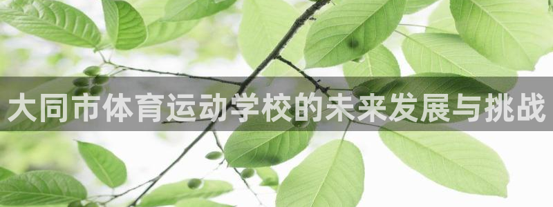 凯发集团平台苹果版下载：大同市体育运