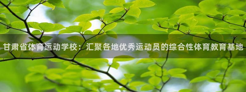 凯发k8网页登录：甘肃省体育运动学校