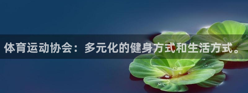 凯发app可信吗：体育运动协会：多元