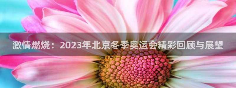 凯发k8旗舰厅：激情燃烧：2023年
