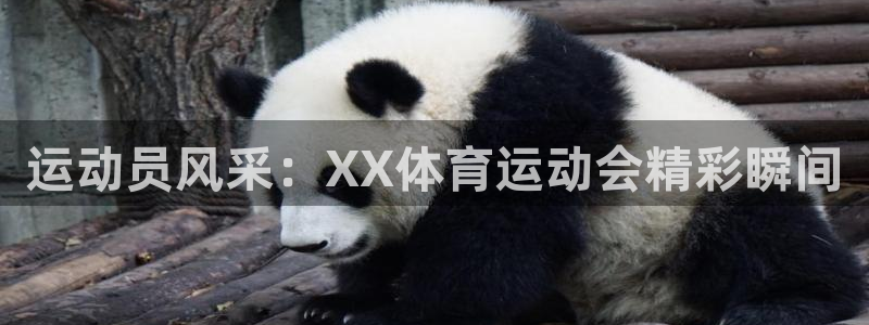 k8凯发代理：运动员风采：XX体育运