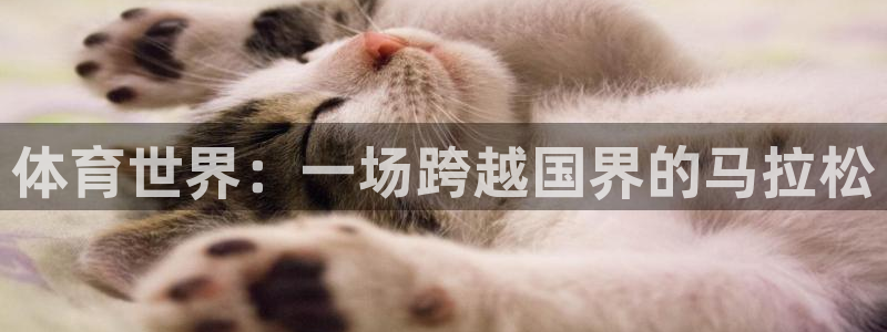 ks8凯发官方手机版娱乐：体育世界：