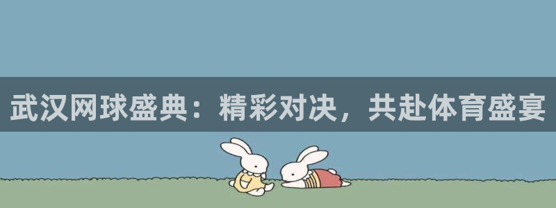 球友体育直播在线观看：武汉网球盛典：精彩对决，共赴体育盛宴