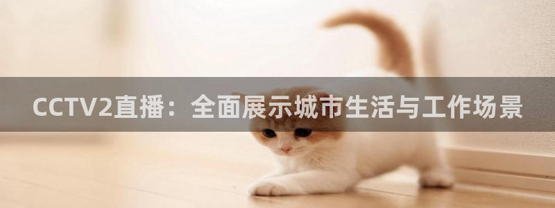 球友直播nba在线直播：CCTV2直播：全面展示城市生活与工作场景